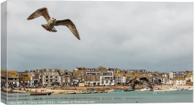 The Harbour at St Ives, Cornwall Canvas Print by Tracey Smith
