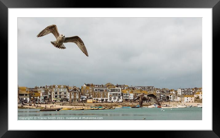 The Harbour at St Ives, Cornwall Framed Mounted Print by Tracey Smith
