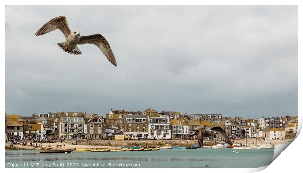 The Harbour at St Ives, Cornwall Print by Tracey Smith