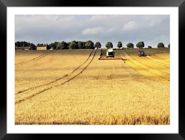 Harvesting barley in Northumberland. Framed Mounted Print by mick vardy