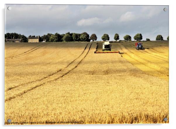 Harvesting barley in Northumberland. Acrylic by mick vardy