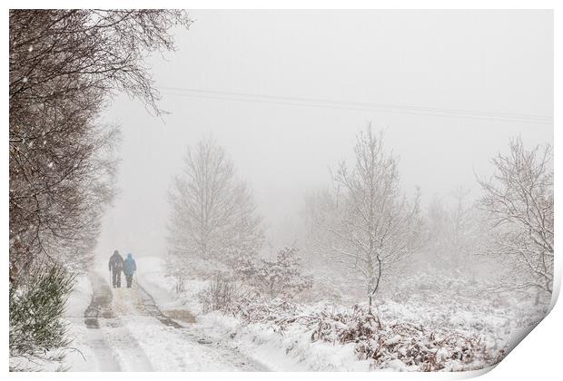 Winter walk Print by chris smith