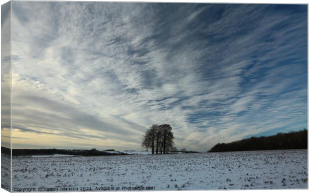 winter sky Canvas Print by Simon Johnson