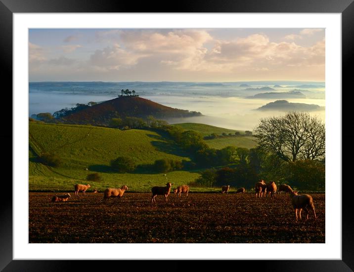 View from Quarr Hill Framed Mounted Print by David Neighbour