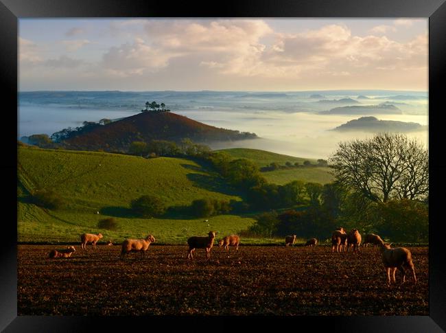 View from Quarr Hill Framed Print by David Neighbour