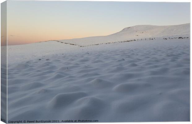 Winter time Canvas Print by Pawel Burdzynski