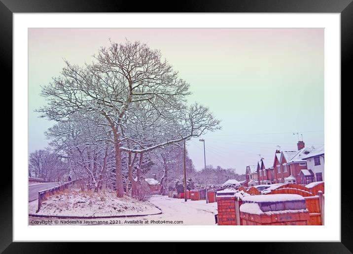 Snowy day!  Framed Mounted Print by Nadeesha Jayamanne