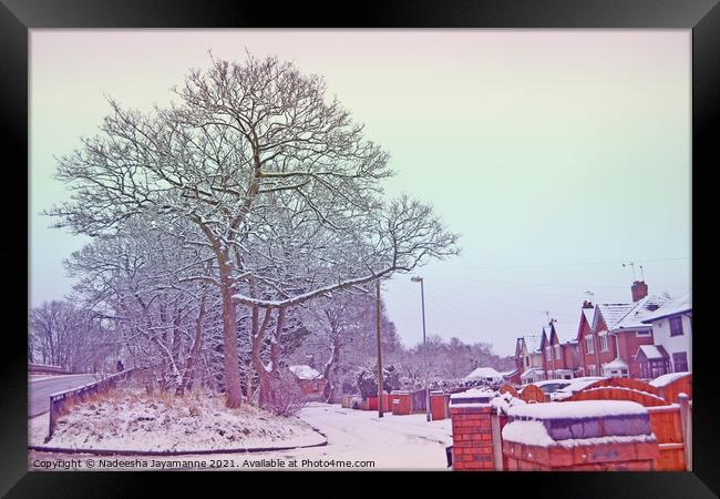 Snowy day!  Framed Print by Nadeesha Jayamanne