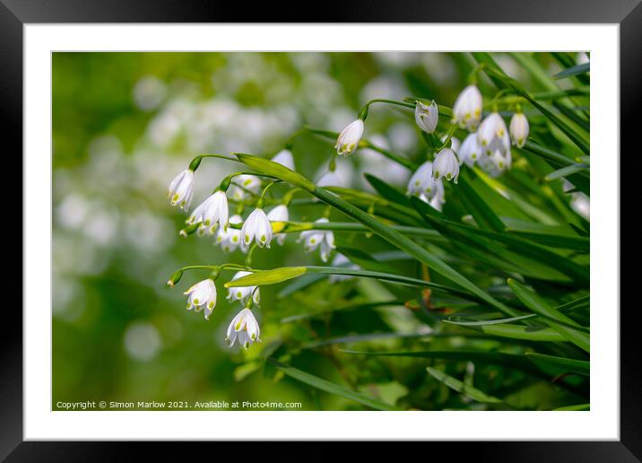 Enchanting Meadow Snowdrops Framed Mounted Print by Simon Marlow