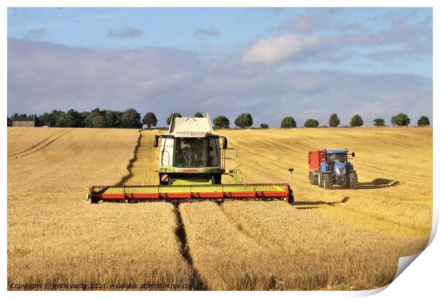Cutting barley in Northumberland. Print by mick vardy