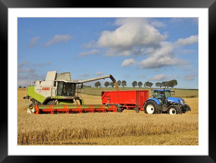 Combine harvesting barley. Framed Mounted Print by mick vardy