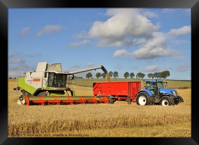 Combine harvesting barley. Framed Print by mick vardy