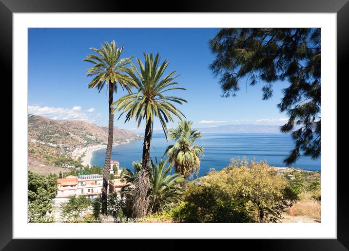 Palm trees and view Framed Mounted Print by Kevin Hellon