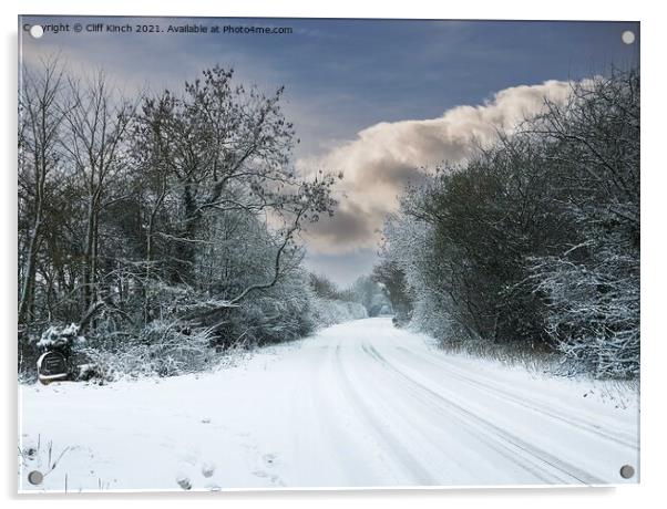 Winter walk Acrylic by Cliff Kinch