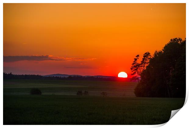 Summer sunset. Print by Sergey Fedoskin