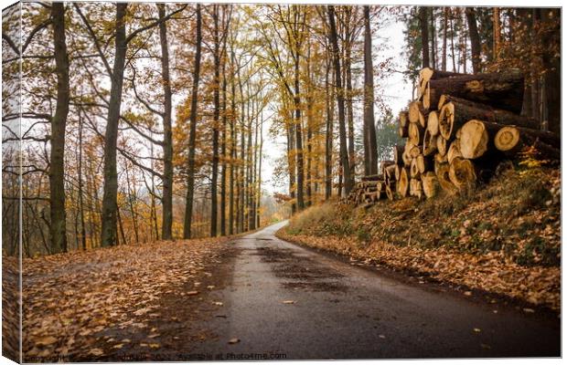 Autumn scene with road in forest. Late fall. Canvas Print by Sergey Fedoskin