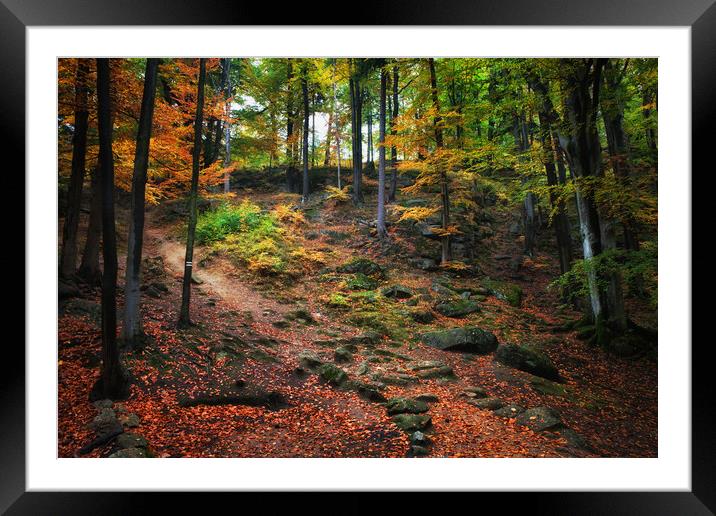 Autumn Forest Slope Framed Mounted Print by Artur Bogacki