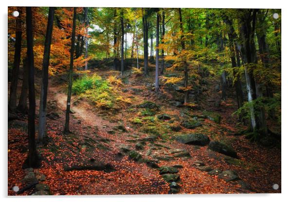 Autumn Forest Slope Acrylic by Artur Bogacki