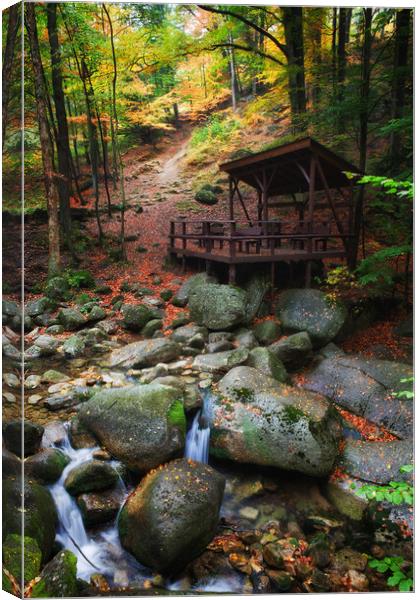 Creek In Autumn Mountain Forest Canvas Print by Artur Bogacki