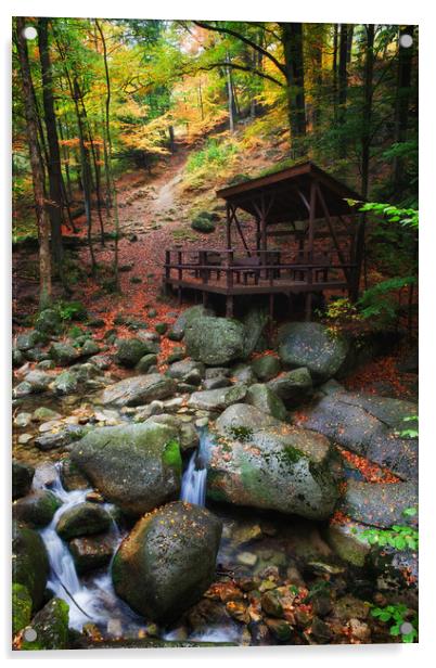 Creek In Autumn Mountain Forest Acrylic by Artur Bogacki