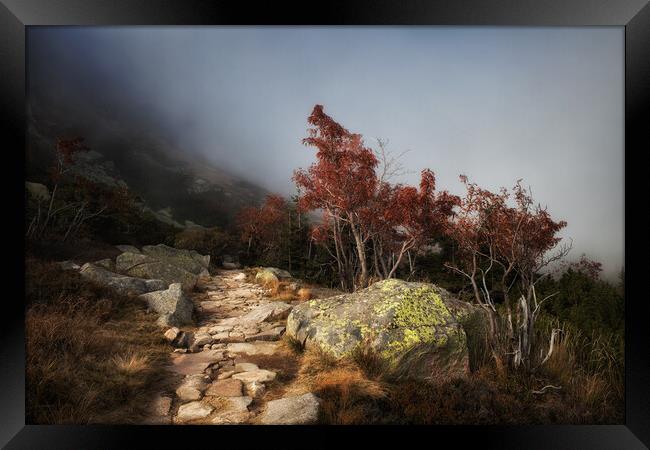 Path In Misty Mountains Framed Print by Artur Bogacki
