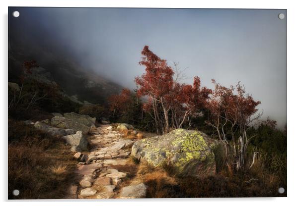 Path In Misty Mountains Acrylic by Artur Bogacki