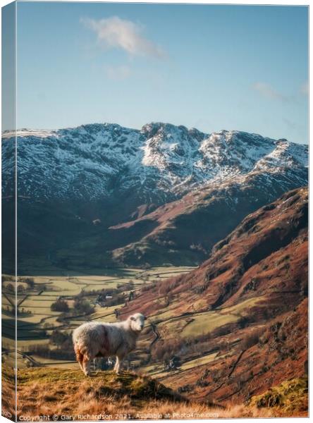 The Langdale Valley Canvas Print by Gary Richardson