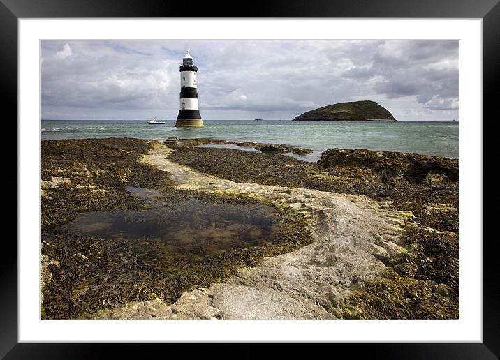 Black Point & Puffin Island Framed Mounted Print by Steve Glover