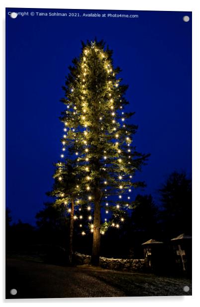 Illuminated Christmas Tree at Blue Hour Acrylic by Taina Sohlman