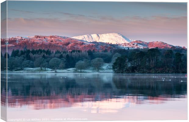 Morning, Windermere Canvas Print by Liz Withey