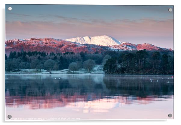 Morning, Windermere Acrylic by Liz Withey