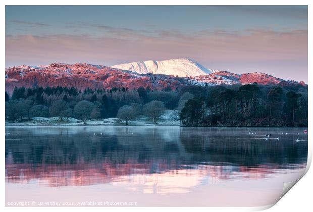 Morning, Windermere Print by Liz Withey