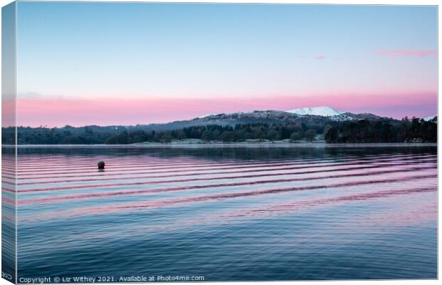 Pink Ripples, Windermere Canvas Print by Liz Withey