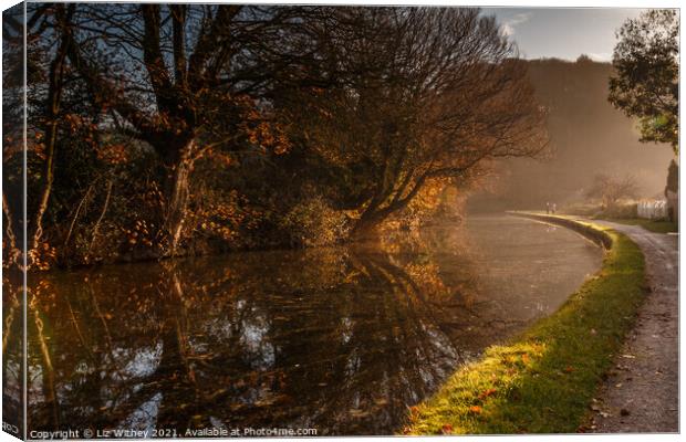 Lancaster Canal near Carnforth Canvas Print by Liz Withey