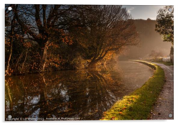 Lancaster Canal near Carnforth Acrylic by Liz Withey