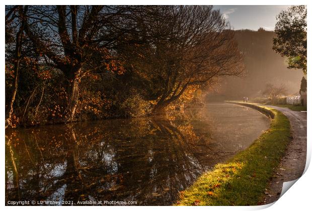 Lancaster Canal near Carnforth Print by Liz Withey