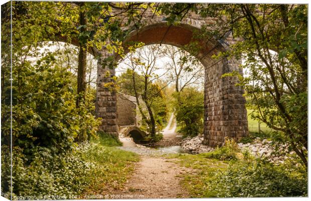 Capernwray Viaduct Canvas Print by Liz Withey