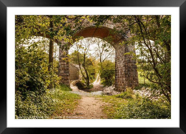 Capernwray Viaduct Framed Mounted Print by Liz Withey