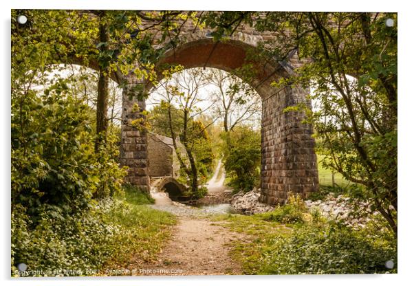 Capernwray Viaduct Acrylic by Liz Withey