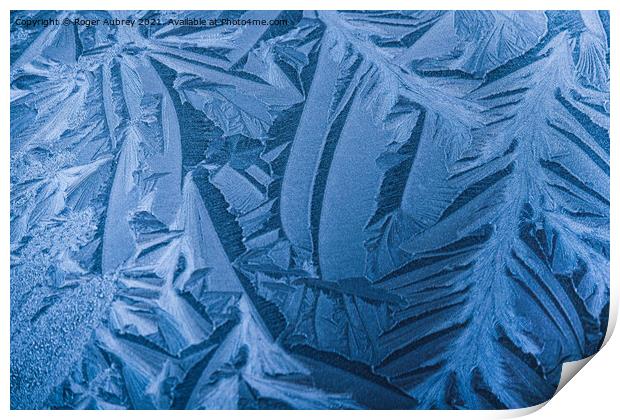 Ice pattern  Print by Roger Aubrey