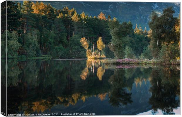 Autumn Lochan  Canvas Print by Anthony McGeever