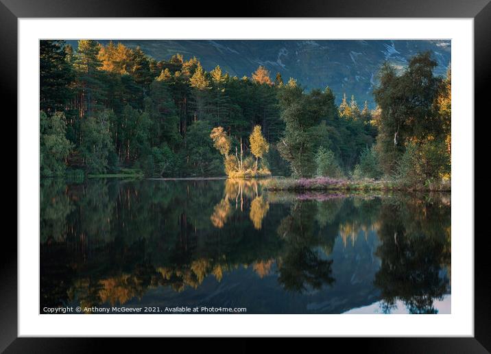Autumn Lochan  Framed Mounted Print by Anthony McGeever