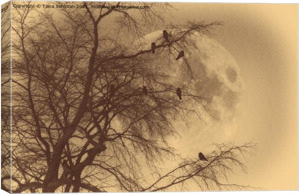 Crows against Full Moon, Old Photo Style  Canvas Print by Taina Sohlman