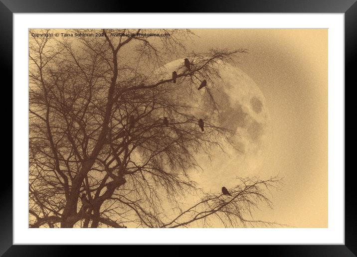 Crows against Full Moon, Old Photo Style  Framed Mounted Print by Taina Sohlman