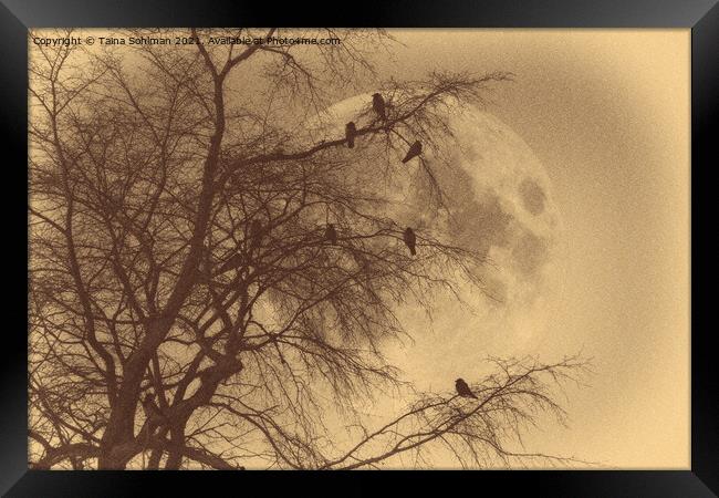 Crows against Full Moon, Old Photo Style  Framed Print by Taina Sohlman