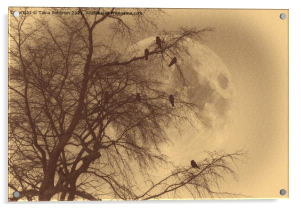 Crows against Full Moon, Old Photo Style  Acrylic by Taina Sohlman