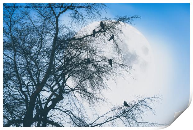 Crows against Full Moon Print by Taina Sohlman