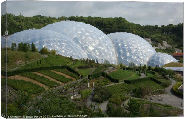 Eden Project Canvas Print by Brian Pierce