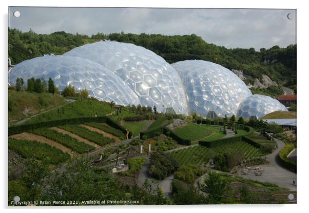 Eden Project Acrylic by Brian Pierce