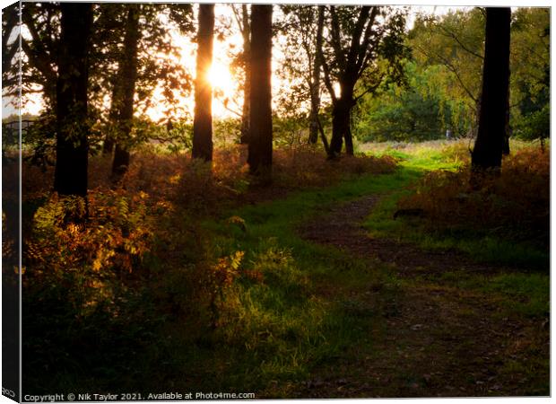 Footpath at Sunset Canvas Print by Nik Taylor